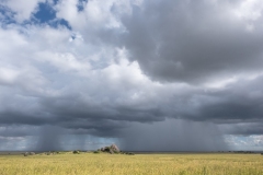 2025-Rain-season-still-on-02-x1080L