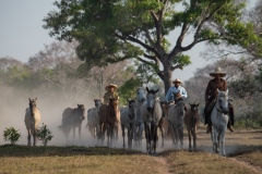 Pantanal, Brazil