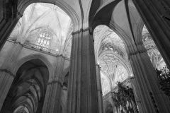 2024-Interior-of-worlds-largest-Gothic-cathedral-in-Seville