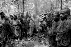 Members of the Baka tribe are about to begin the hunting trip made with the nets they make themselves