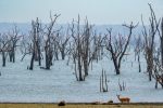 2024, Kafue National Park, Zambia